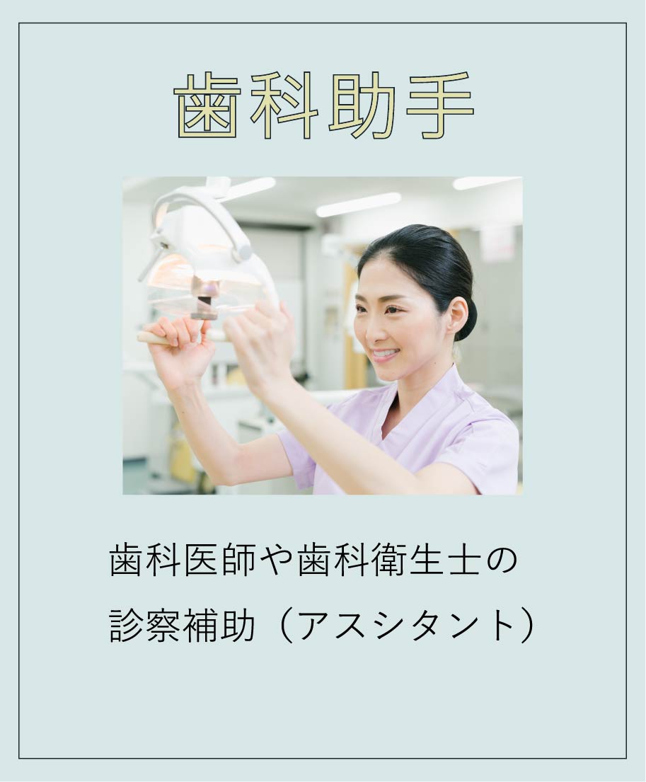 歯科助手コース 日本医歯薬専門学校