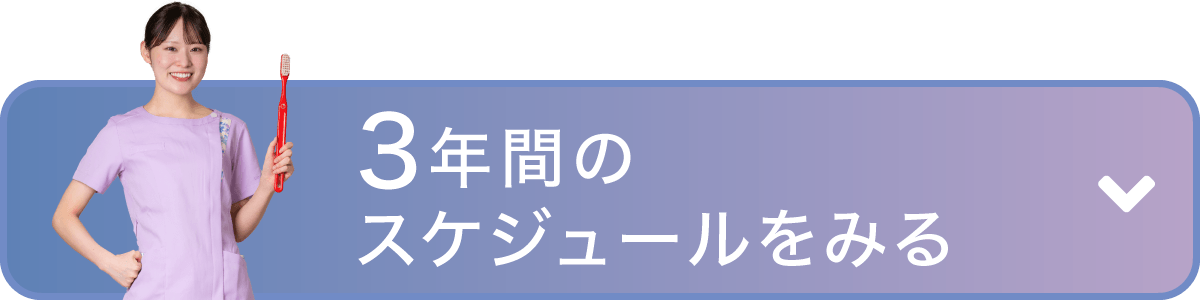 3年間のスケジュール