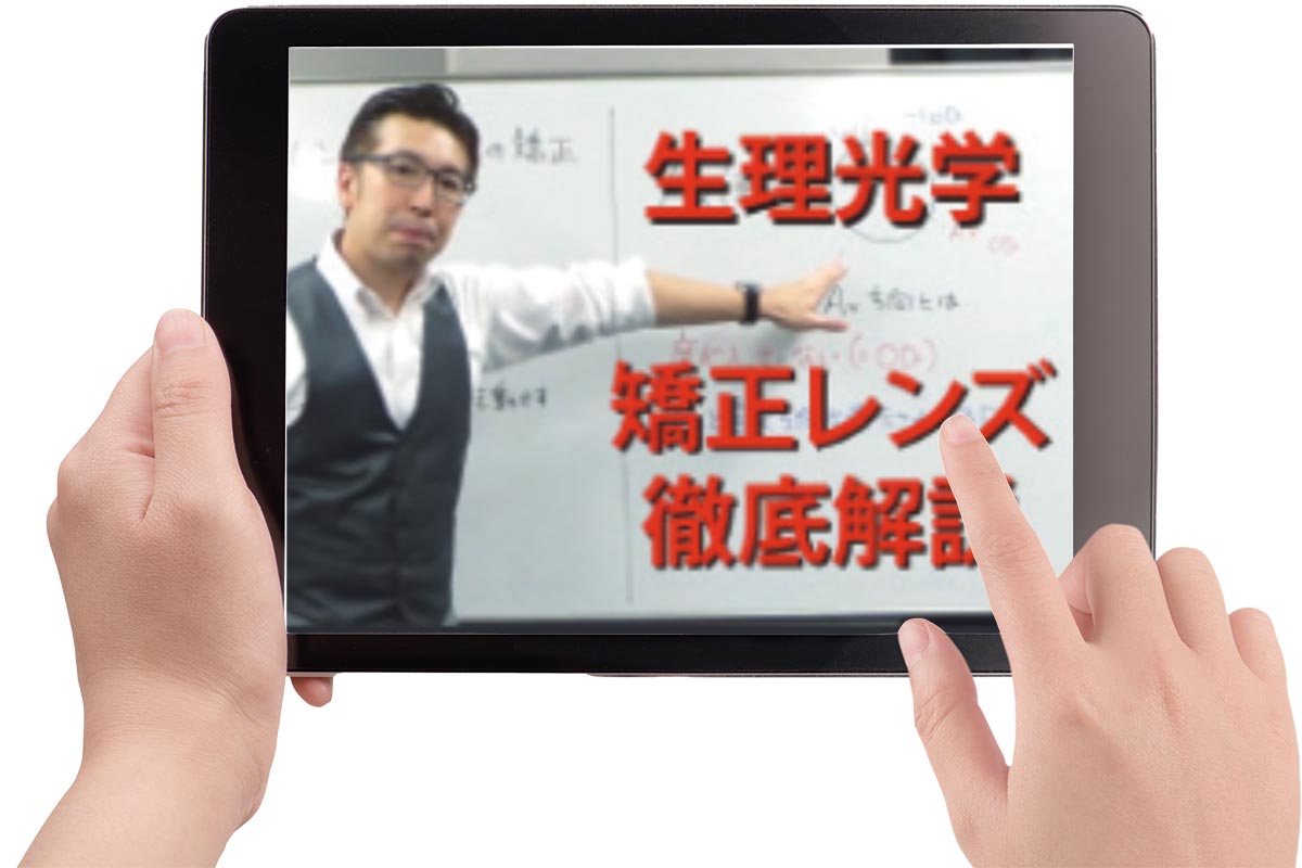 ポイント解説動画