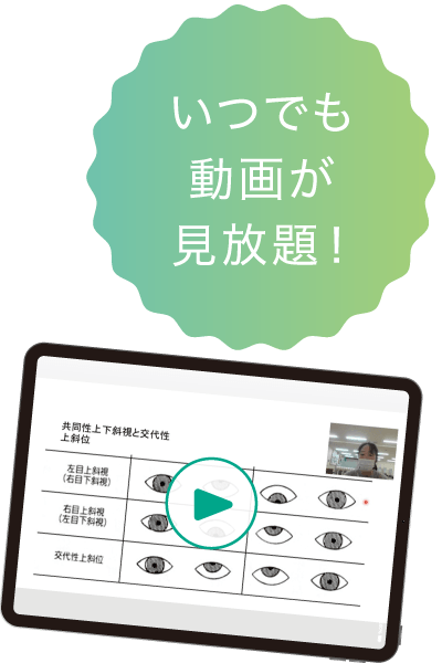 いつでも動画が見放題！